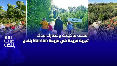 اقطف فاكهتك بيدك.. تجربة فريدة في مزرعة Garson بلندن